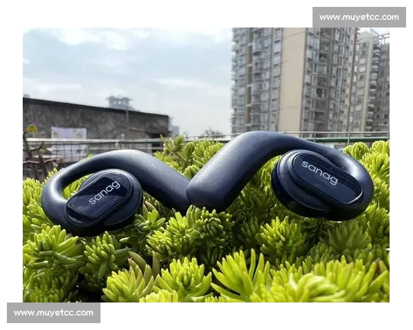 探索美式橄榄球的激情历史与战术魅力全景解析终极对决文化传承之 - 副本 (2)