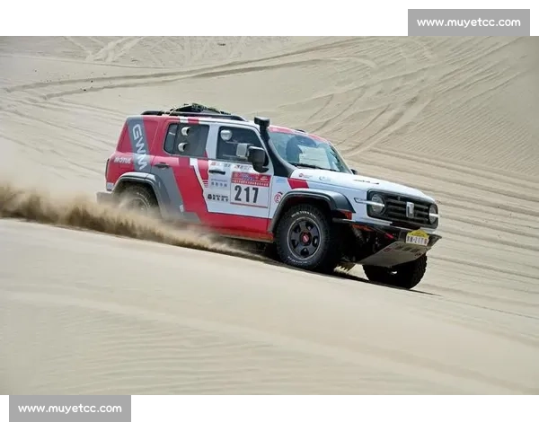 极限速度与持久对决的世界顶级耐力赛全景解析赛道传奇与技术革新探秘 - 副本 - 副本 (2)