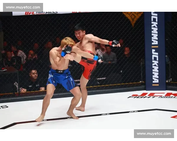 综合格斗发展趋势与实战技巧全面解析指南从入门到职业赛场策略