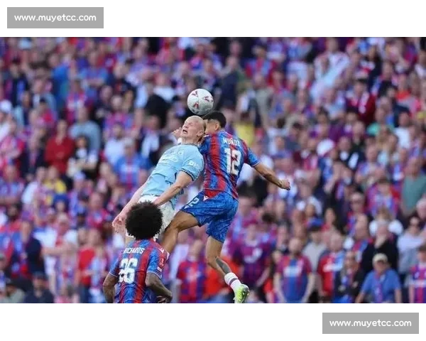 英超比赛免费高清在线观看实时赛事资讯全方位观赛攻略指南大全版 - 副本 (2)