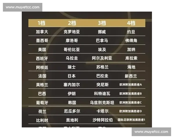 全面解读世界杯比赛规则从小组赛到决赛的全程解析