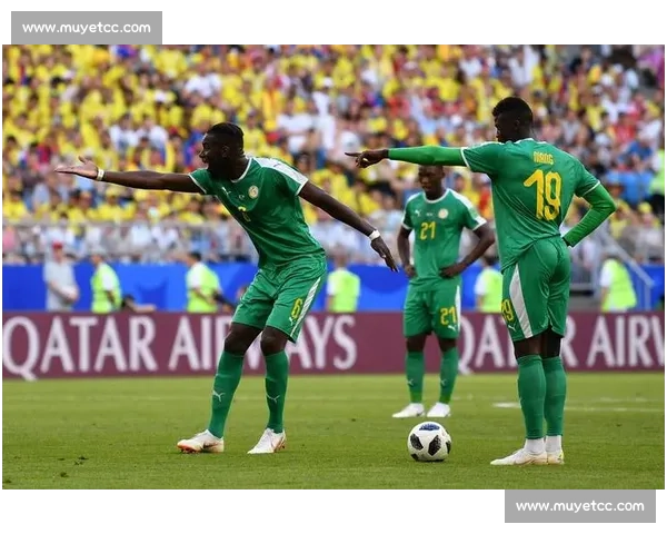 足球联赛与杯赛的主要区别及其对比赛结构和球队影响的分析 - 副本