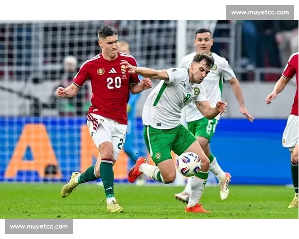 全面解析世界杯足球赛竞赛规则体系与比赛流程细节说明指南实践篇 - 副本